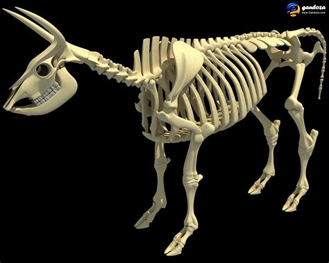 Shop for Halloween Animatronics at Tractor Supply Co. . Cow skeleton halloween decoration